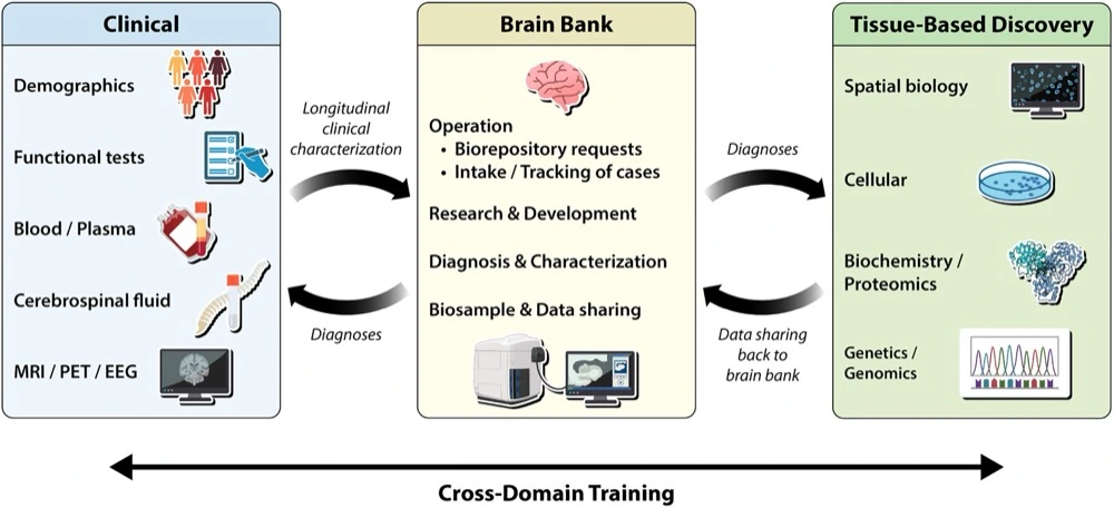 Accelerating biomedical discoveries in brain health through transformative neuropathology of aging and neurodegeneration