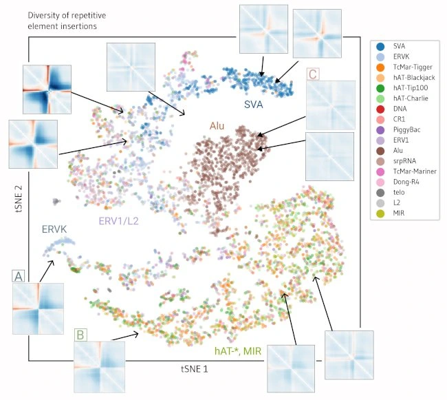 In silico discovery of repetitive elements as key sequence determinants of 3D genome folding
