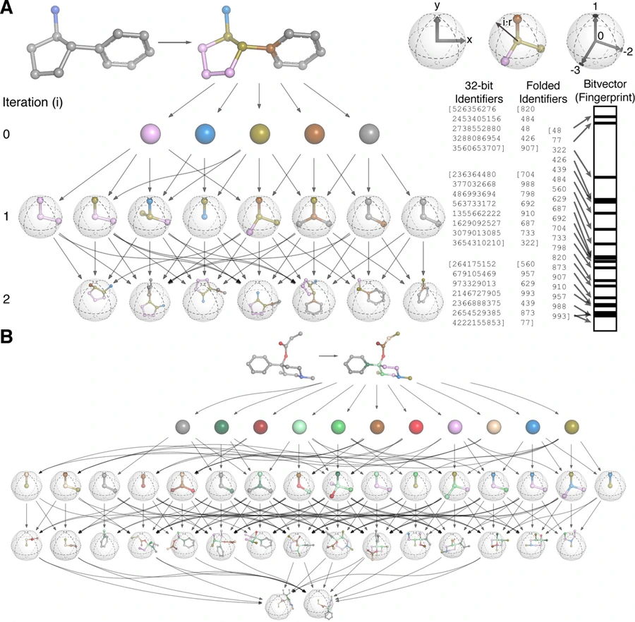A Simple Representation of Three-Dimensional Molecular Structure