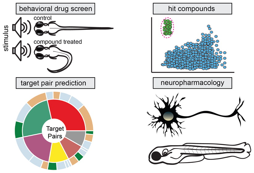 Leveraging Large-scale Behavioral Profiling in Zebrafish to Explore Neuroactive Polypharmacology