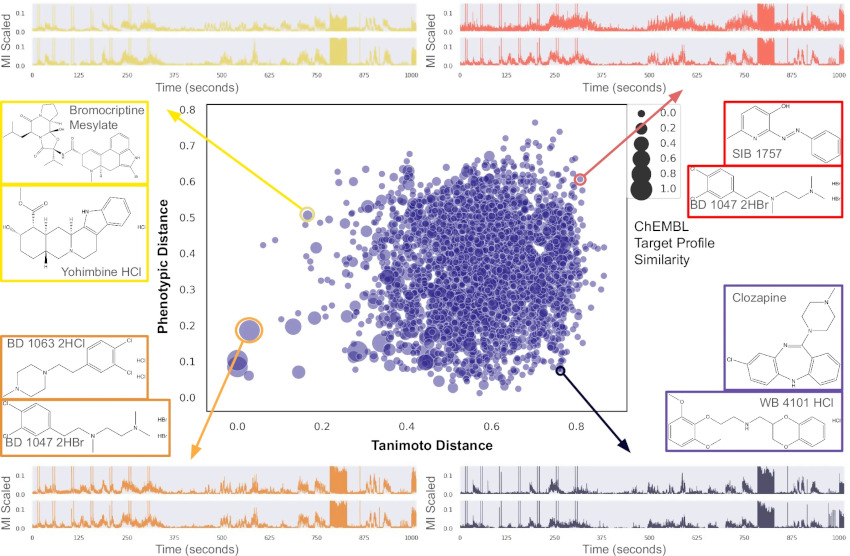 Deep phenotypic profiling of neuroactive drugs in larval zebrafish