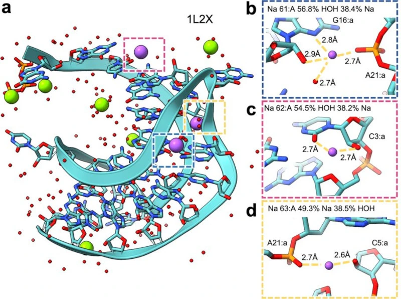 MIC: A deep learning tool for assigning ions and waters in cryo-EM and crystal structures