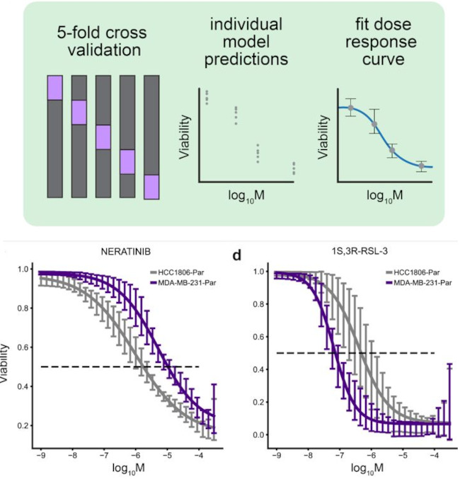 Learning chemical sensitivity reveals mechanisms of cellular response