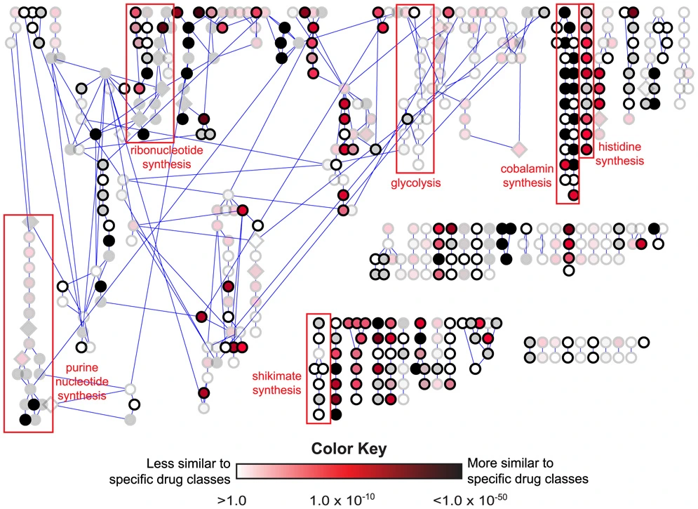 A mapping of drug space from the viewpoint of small molecule metabolism