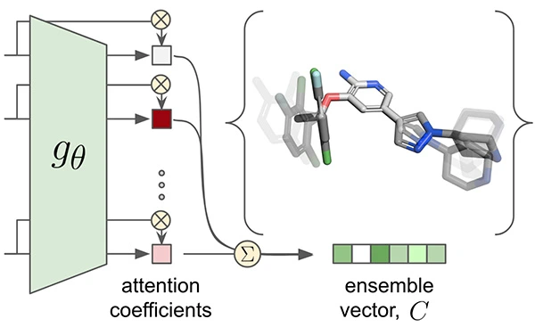 Attention-Based Learning on Molecular Ensembles