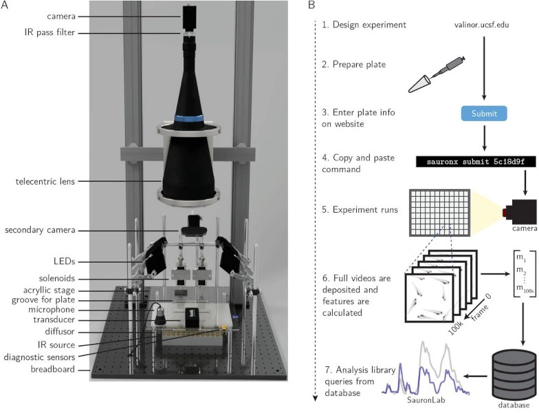 Simultaneous analysis of neuroactive compounds in zebrafish