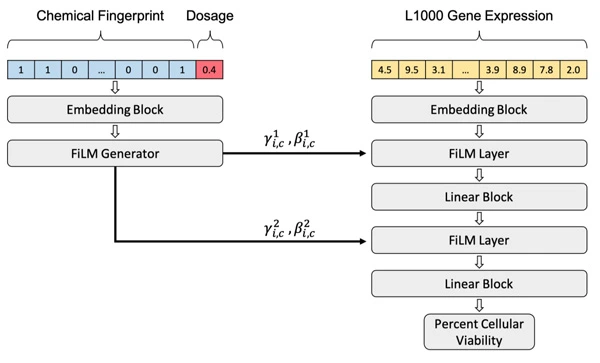 Predicting Cellular Drug Sensitivity using Conditional Modulation of Gene Expression