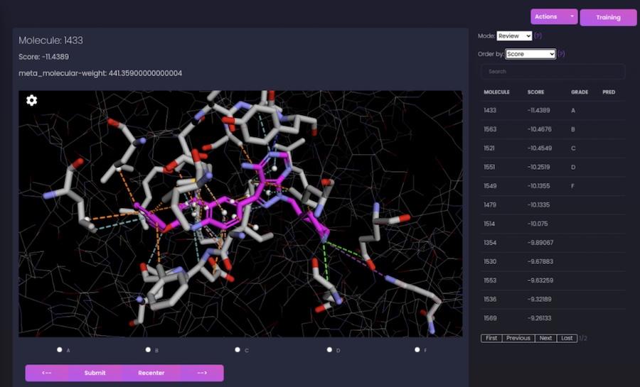 Autoparty: Machine learning-guided visual inspection of molecular docking results