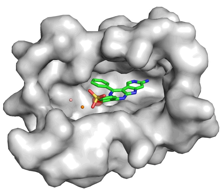 AutoFragDiff: generative diffusion model designing a ligand inside a protein binding pocket, from Ghorbani et al., NeurIPS GenBio 2023